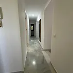 Estadio 5 Y Capacidad 9 Personas Cerca Del Centro, Del Estadio Y Estacion De Trenes Y De Autobuses, Con Facil Aparcamiento En La Misma Calle Jerez de la Frontera